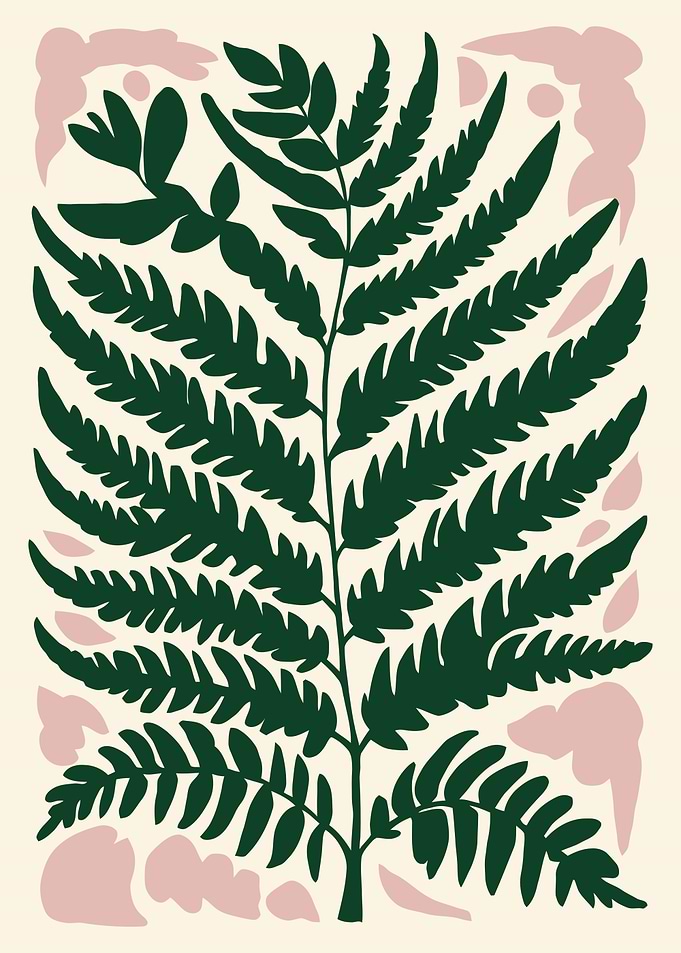 Fern botanical illustration with pink accents