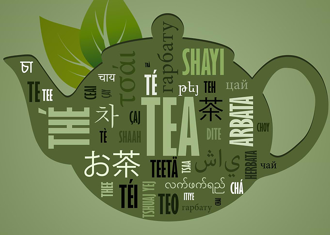 Tea Teapot with Multilingual Text