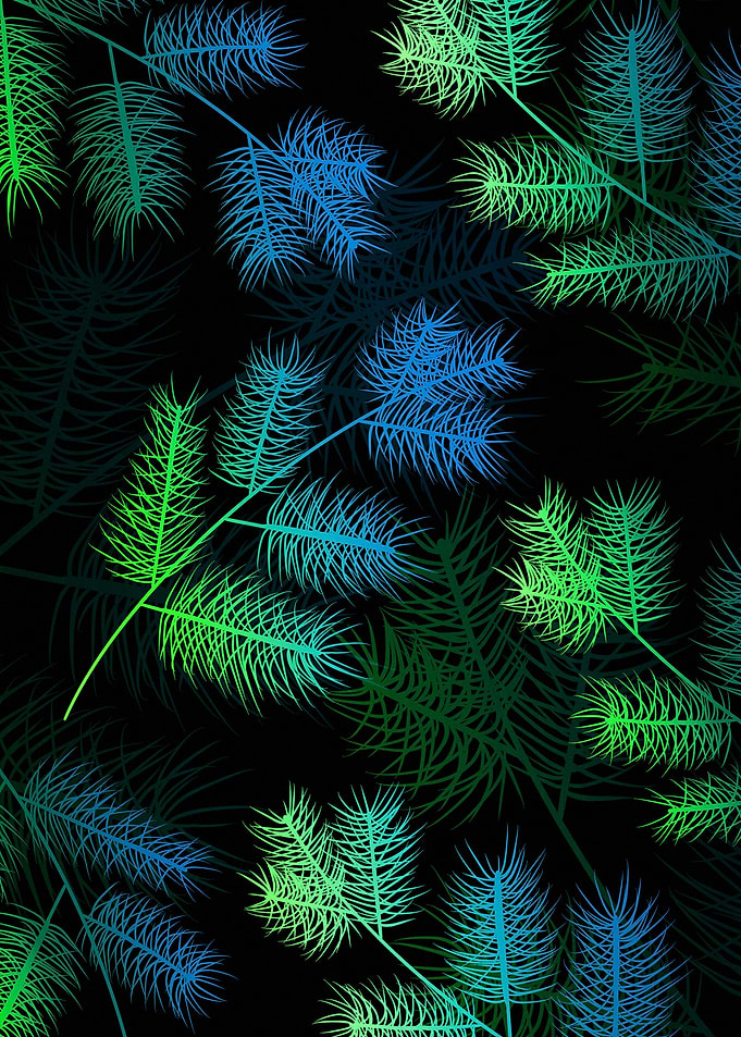 Abstract Pine Branches on Black Background