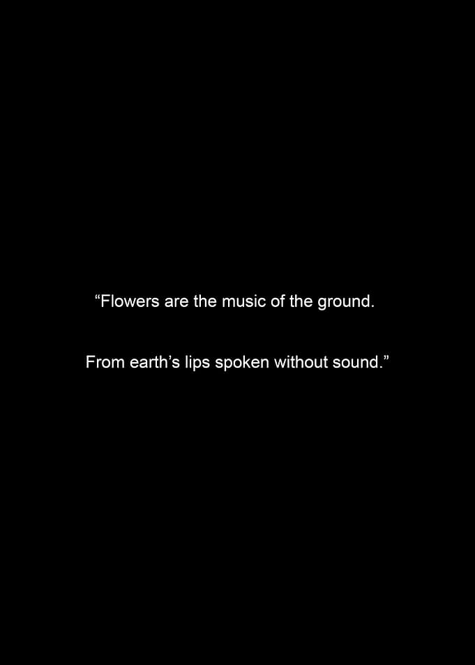 Floral Quote on Black Background