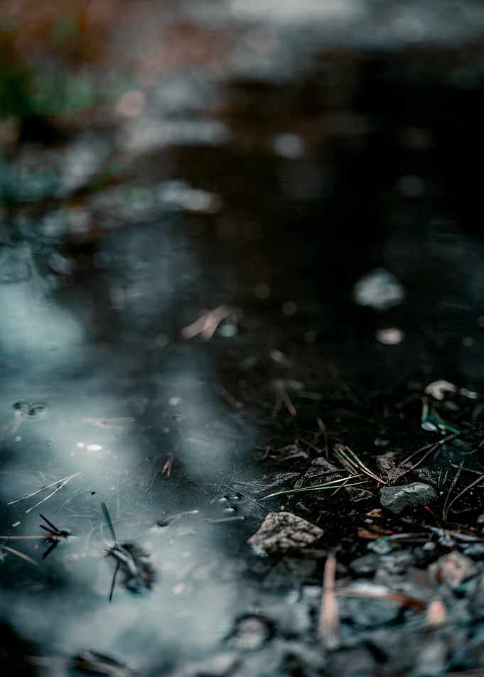 Puddle Reflection with Rocks and Debris
