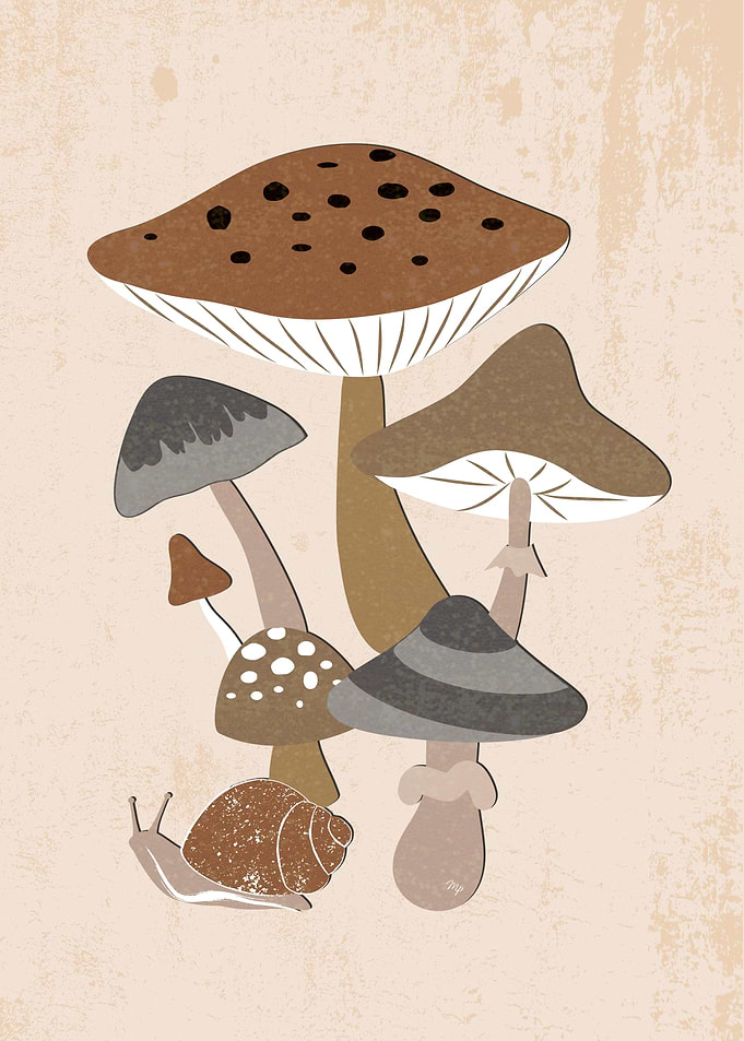 Mushroom and Snail Illustration