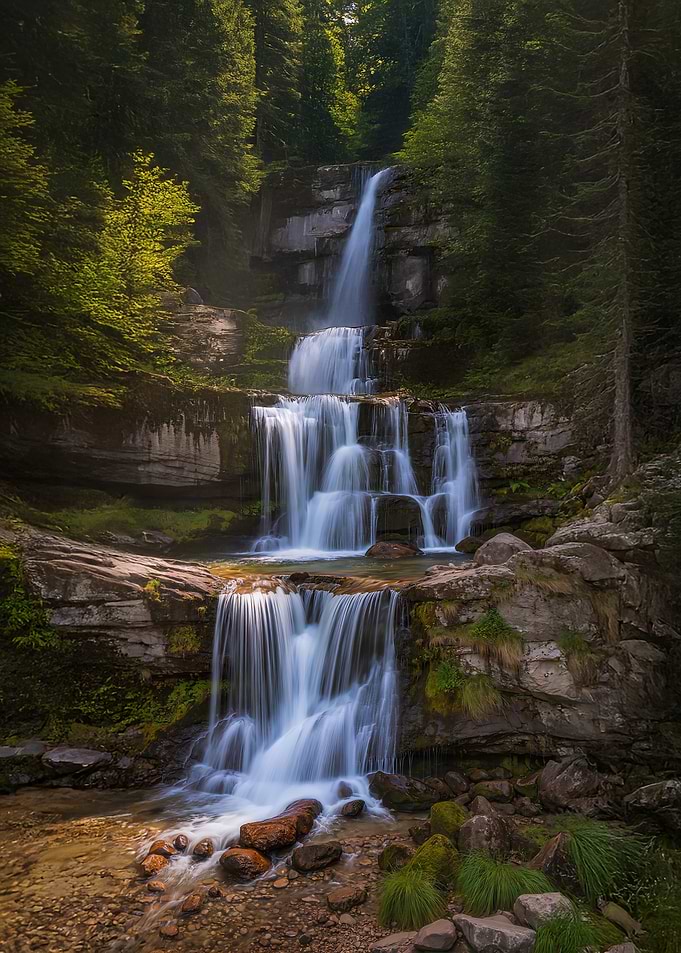 Cascading Waterfall in Lush Green Forest