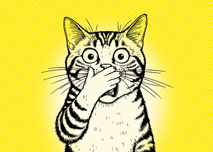 Surprised Cat Pop Art