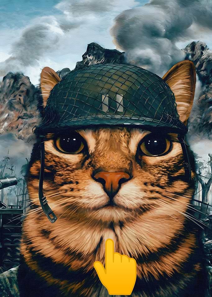 Military Cat Meme