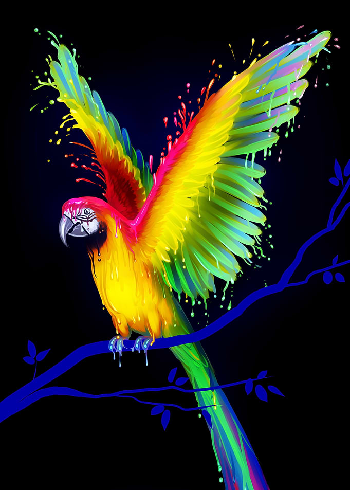 Colorful Parrot on Branch