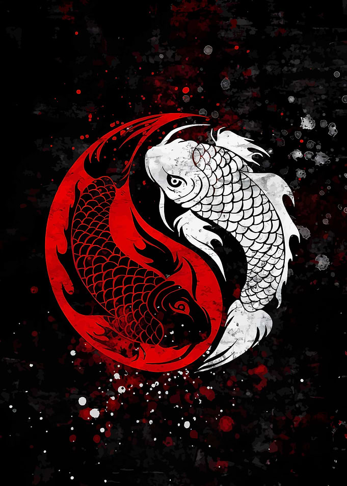 Yin Yang Koi Fish Illustration