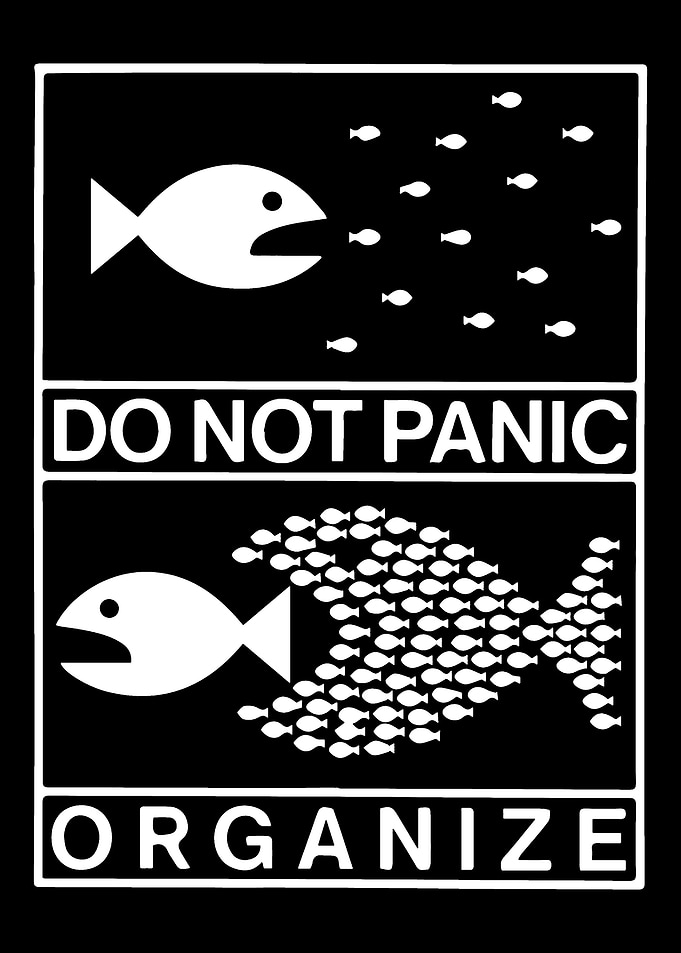 Do Not Panic, Organize Fish