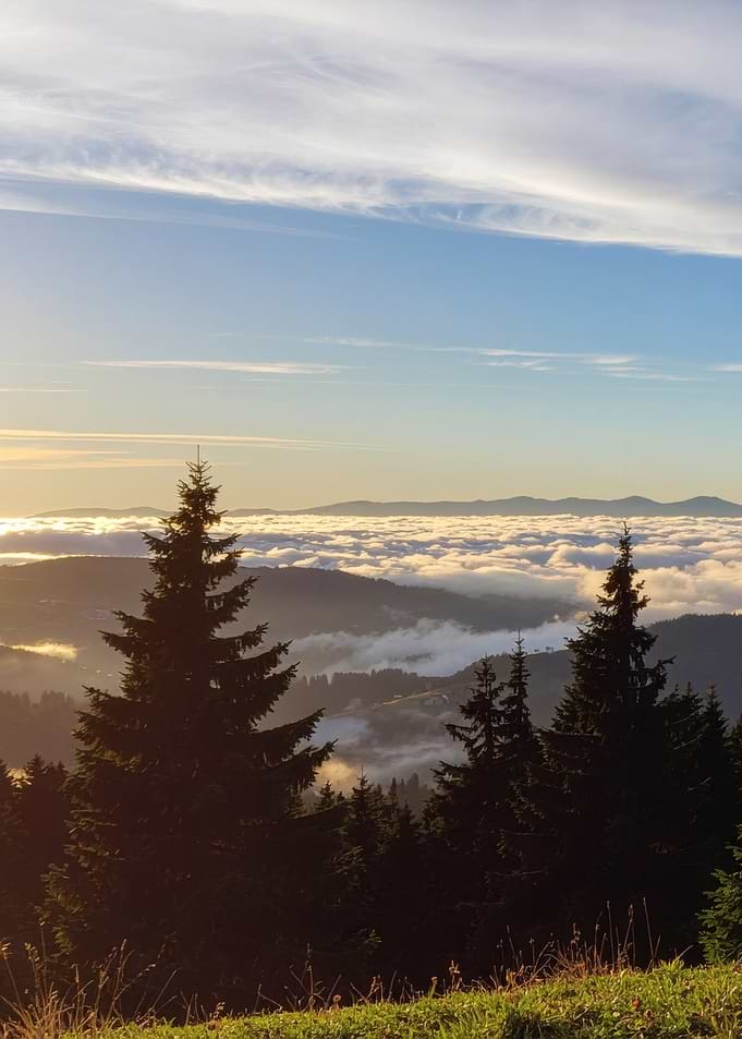 Mountain View with Clouds and Trees