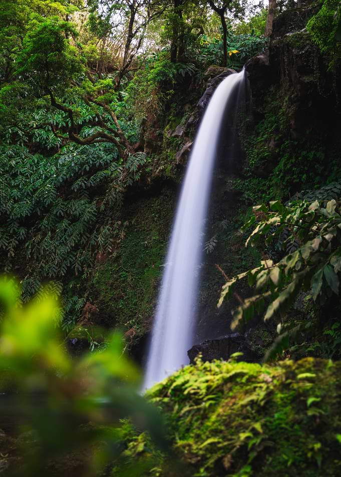 Lush Waterfall Scene