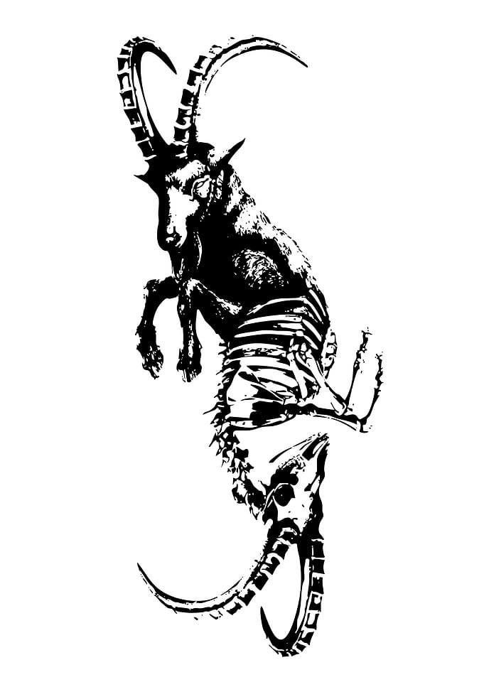 Goat Skeleton Black and White Art