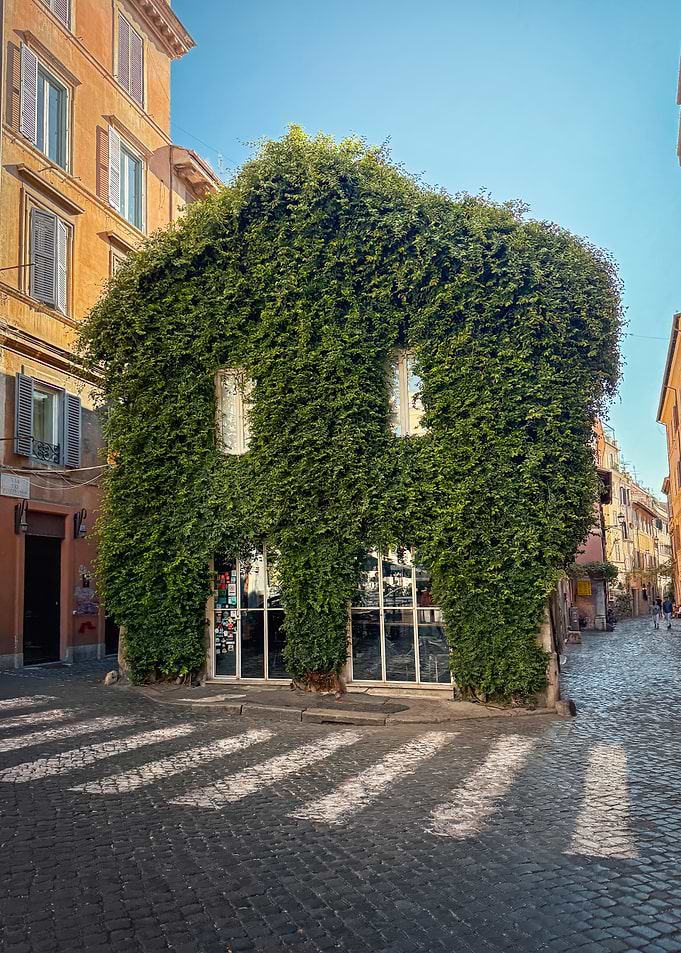 Ivy-covered building in Rome