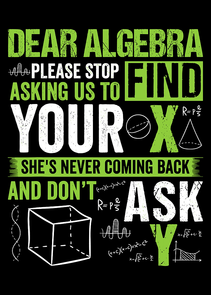 Funny Algebra Math Poster, Humor Quote Wall Art, Teacher Classroom Decor Print