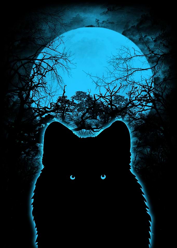 Wolf Silhouette Under a Blue Moon