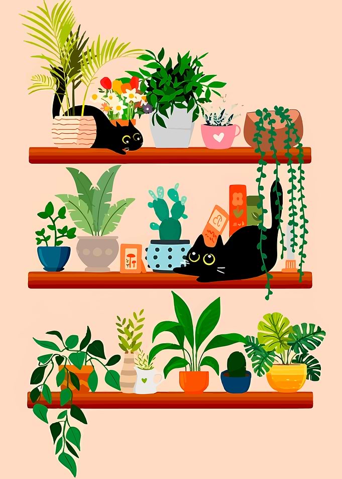 Cats and Plants on Shelves