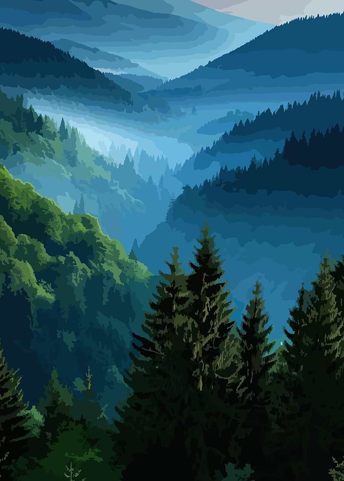 Misty Mountain Forest Landscape Illustration