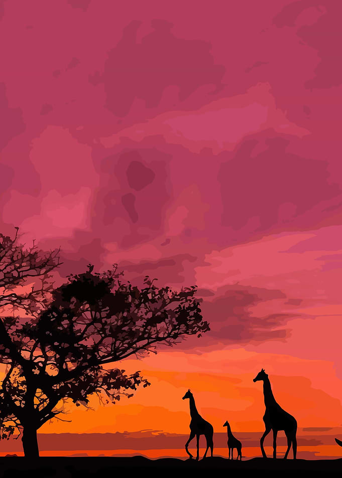 African Sunset with Giraffes Silhouette
