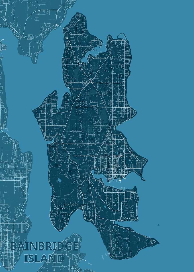Bainbridge Island Map - Detailed Topography