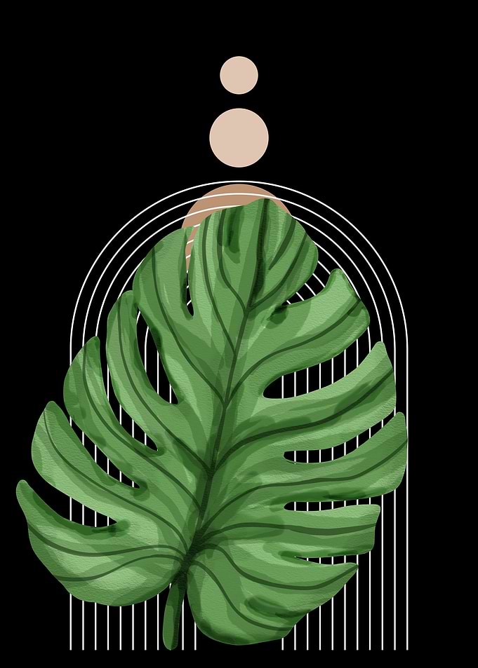 Monstera Leaf Abstract Art