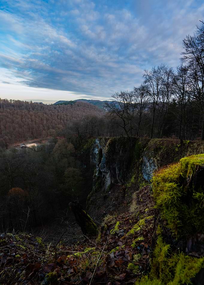 Overlook into Forested Valley