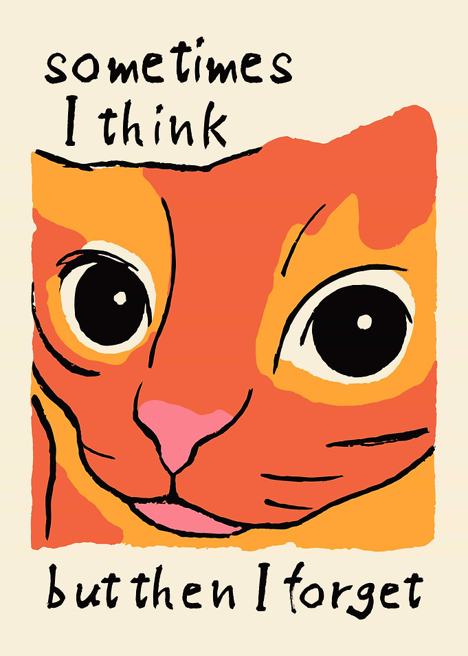 Funny Cat Meme Poster
