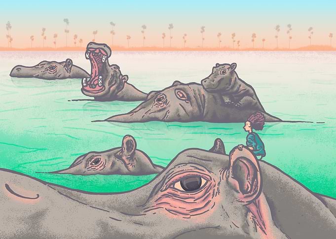 Swimming with hippo's