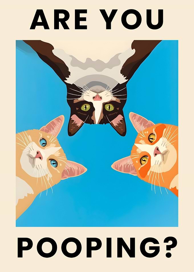 3 Cats Are You Pooping?