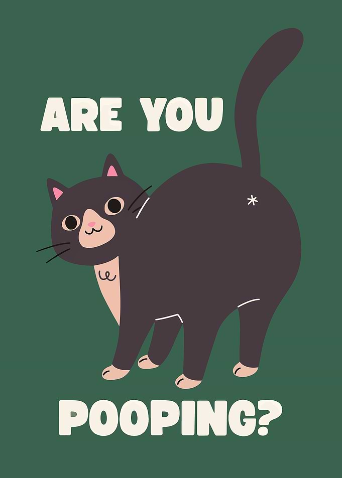 Are You Pooping? Cat Cartoon