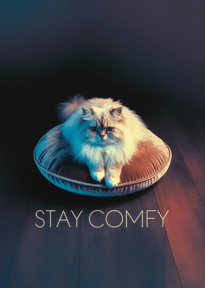 Stay Comfy