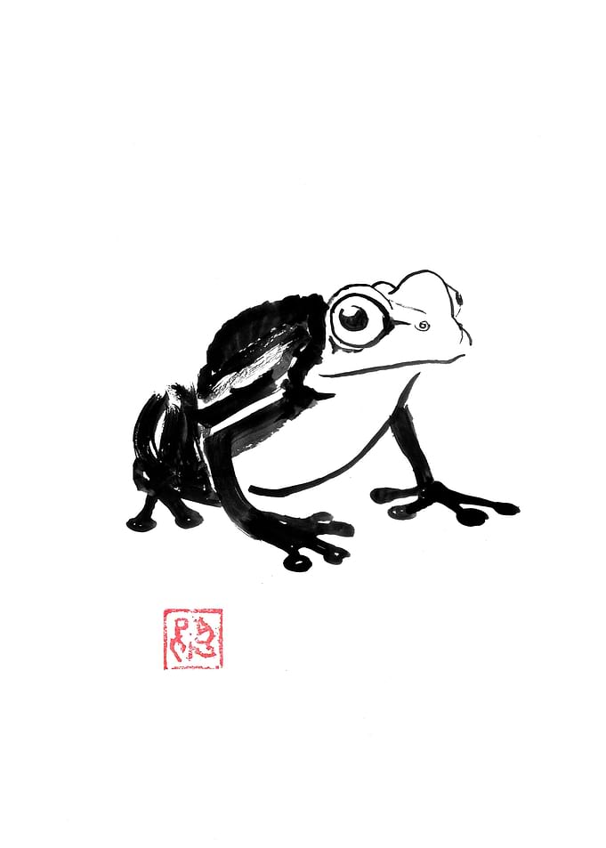 Ink Frog Illustration
