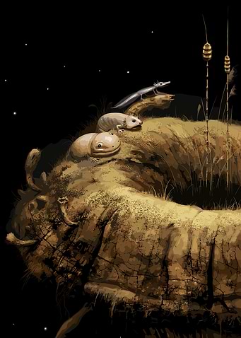 Axolotls on a Rock at Night