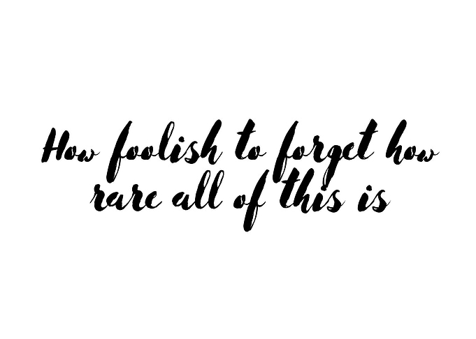 How Foolish to Forget Quote