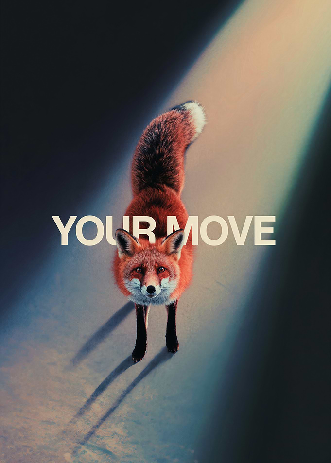 Your Move