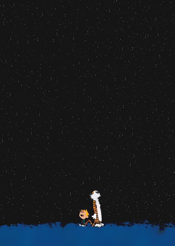 Calvin and Hobbes Starry Night