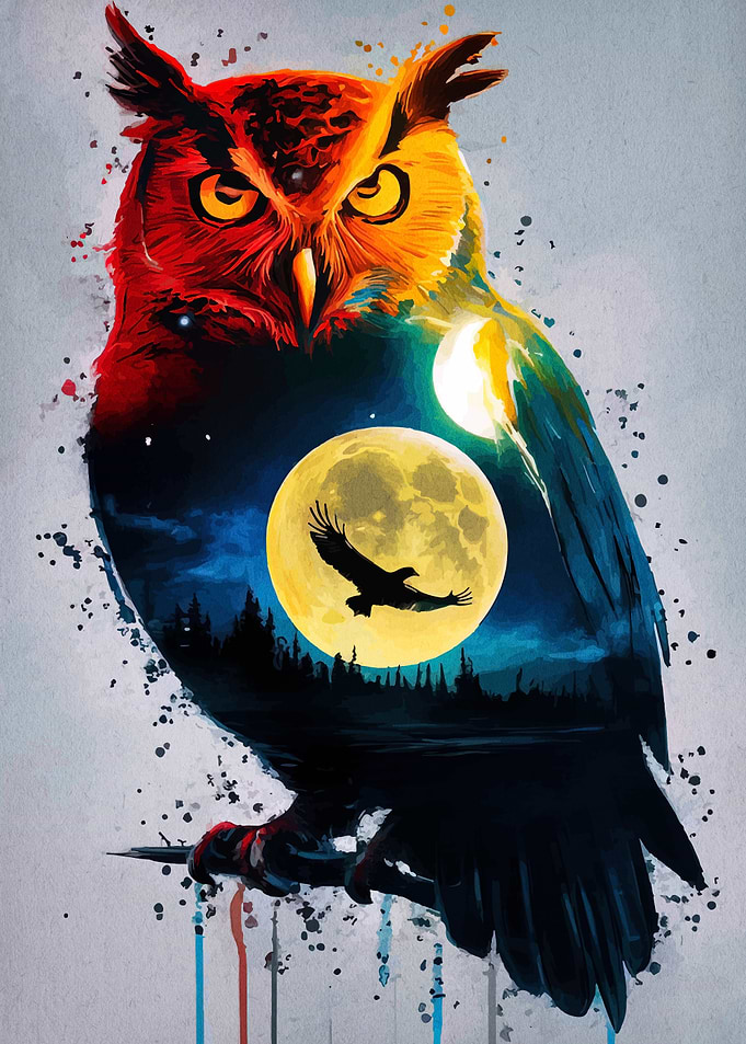 Colorful Owl with Night Landscape