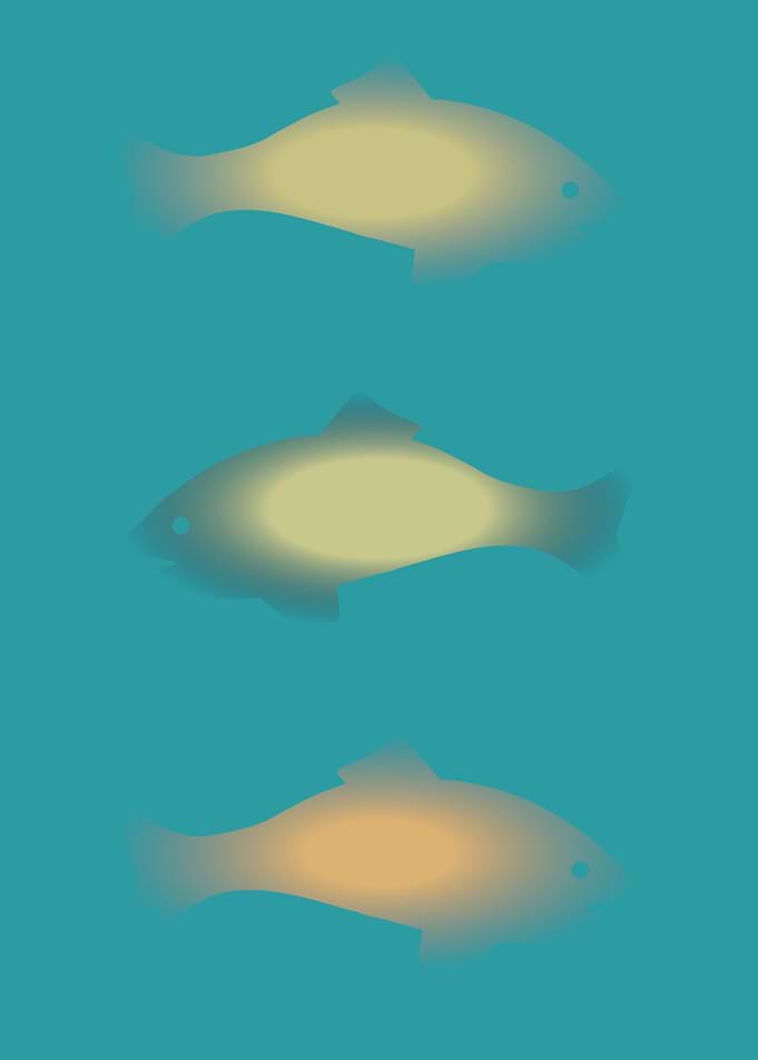 Fish Pond