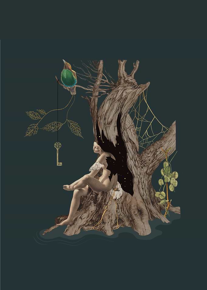 Spirit of the Forest