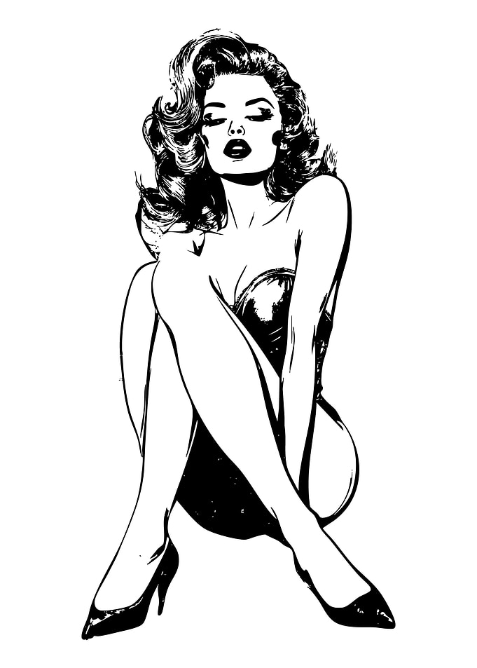 Black and White Pin-Up Illustration