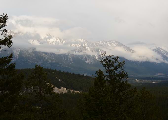 Snowy Mountains and Forest Landscape