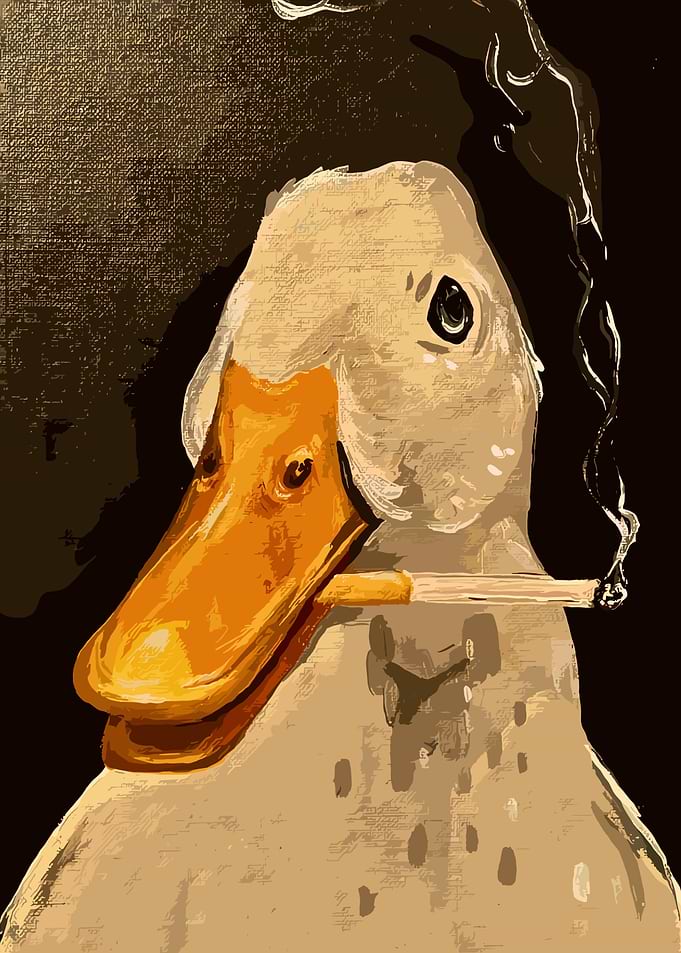 Smoking Duck Portrait