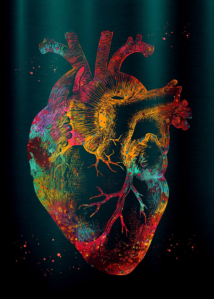 Colorful Anatomical Heart Illustration