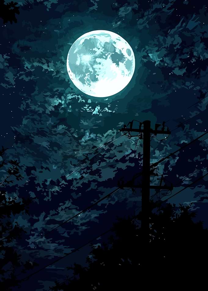Full Moon Night Digital Art