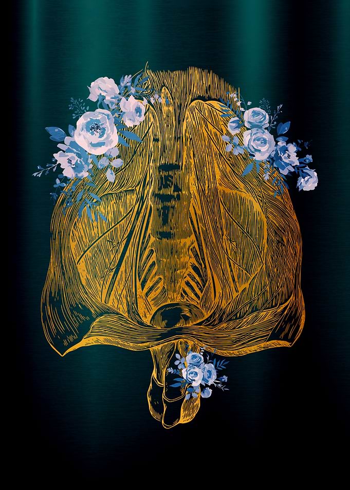 Lumbar plexus