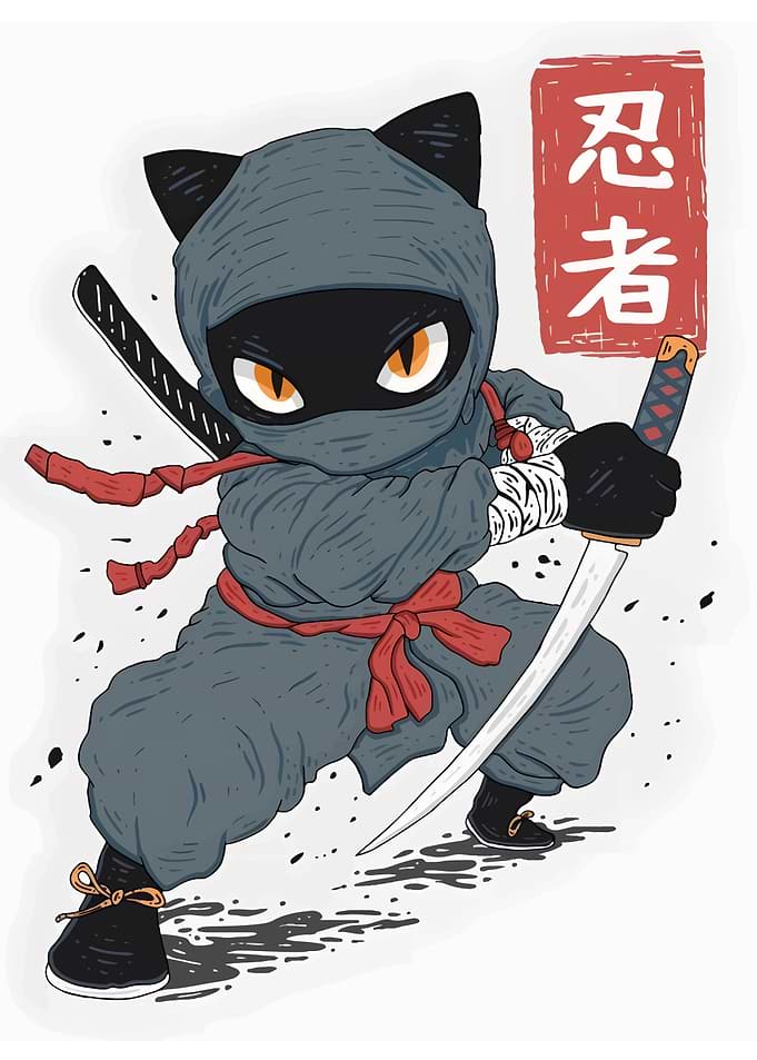 Ninja Cat Cartoon
