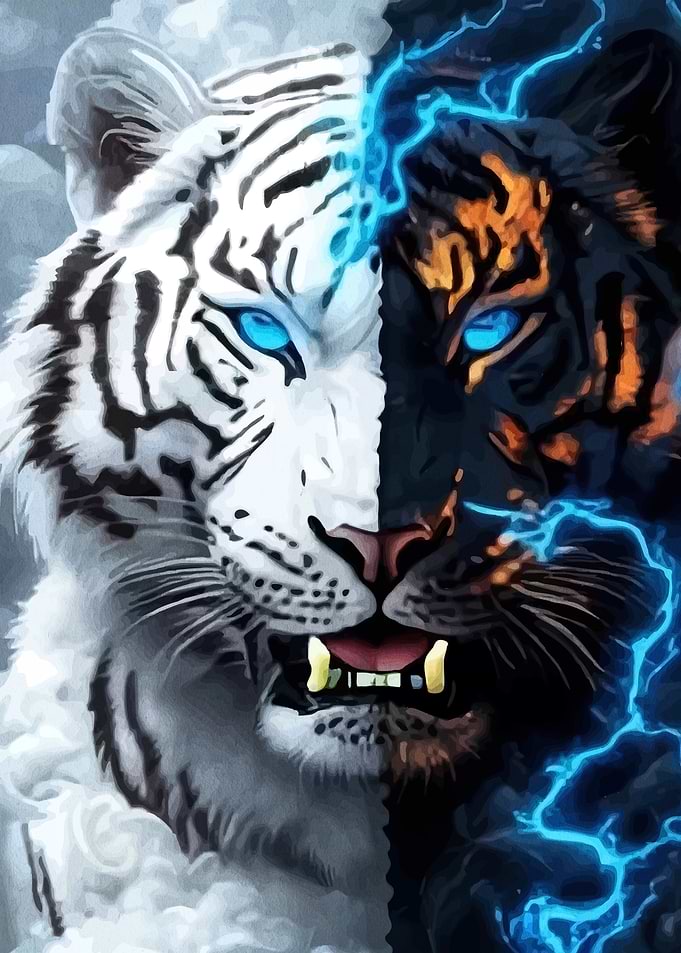 Dual Tiger: White and Black