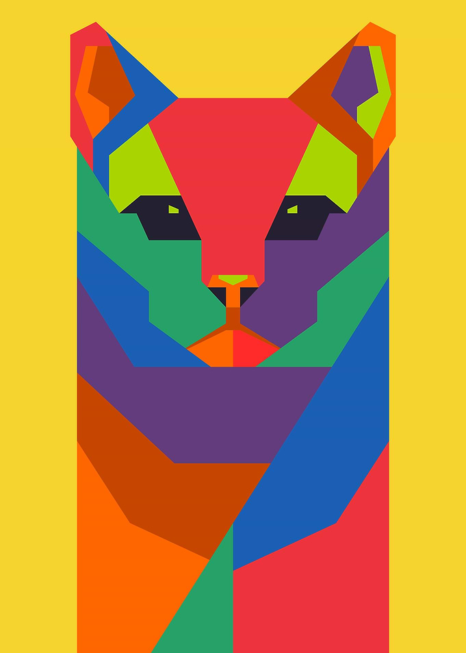 Geometric Cat