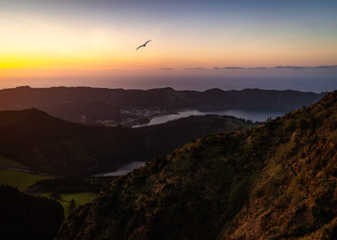 Sunset over mountains with flying bird
