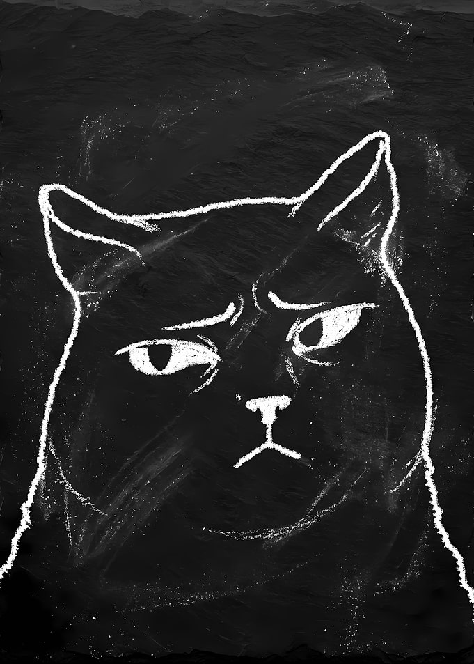 Grumpy Cat Chalkboard Drawing