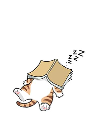Sleeping Cat with Book