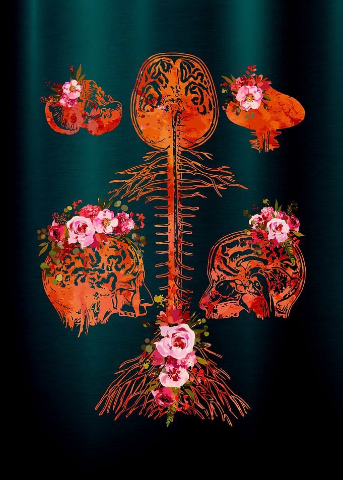 Floral Anatomy Art Print